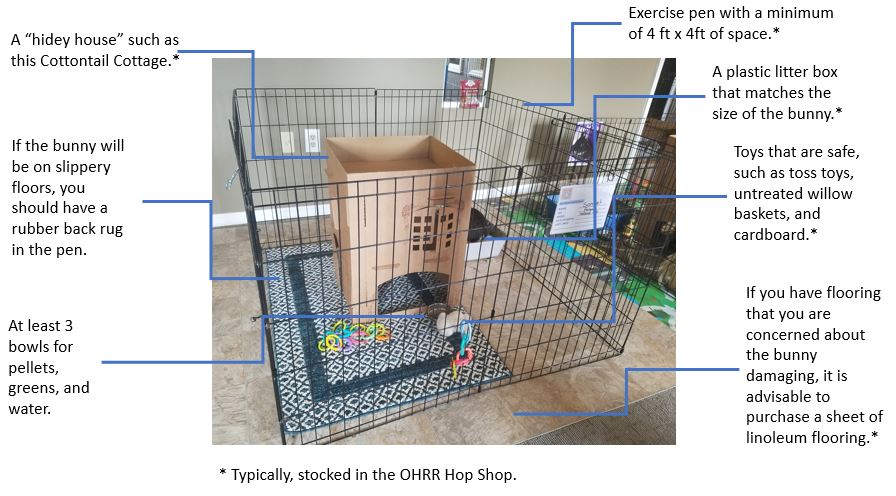 Diy bunny hidey house on sale