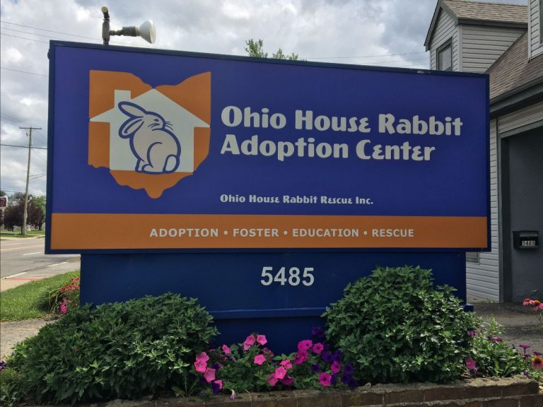 Ohio House Rabbit Rescue