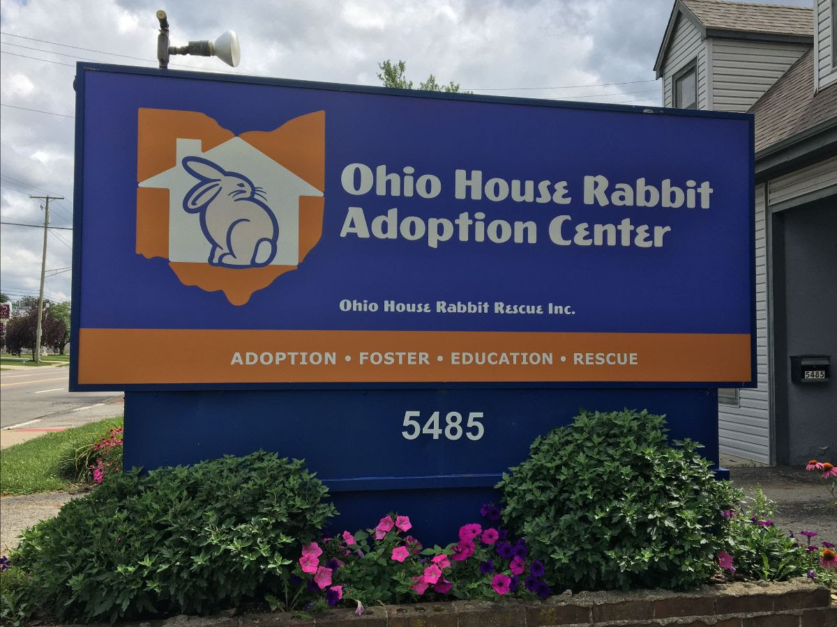 Ohio House Rabbit Rescue