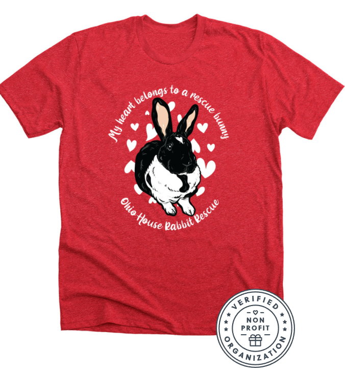 You are currently viewing My heart belongs to a rescue bunny!