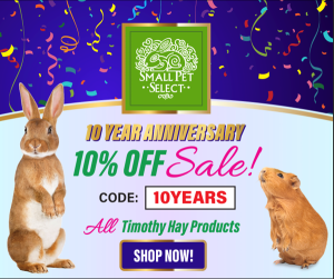 Read more about the article 10 Year Anniversary Discount Code from Small Pet Select