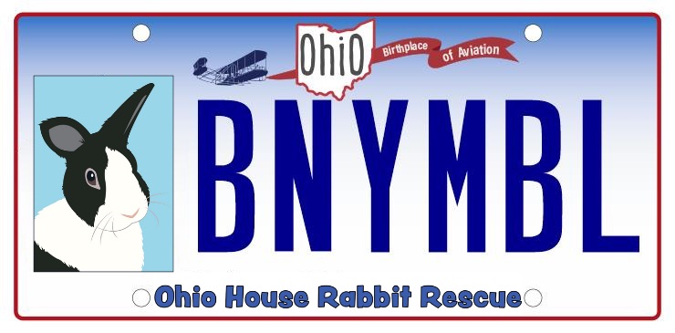 You are currently viewing OHRR License Plate Update