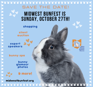 Read more about the article ​Save the Date for Midwest BunFest 2024