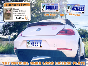 Read more about the article Drive for the Bunnies – Get Your OHRR License Plate Today!
