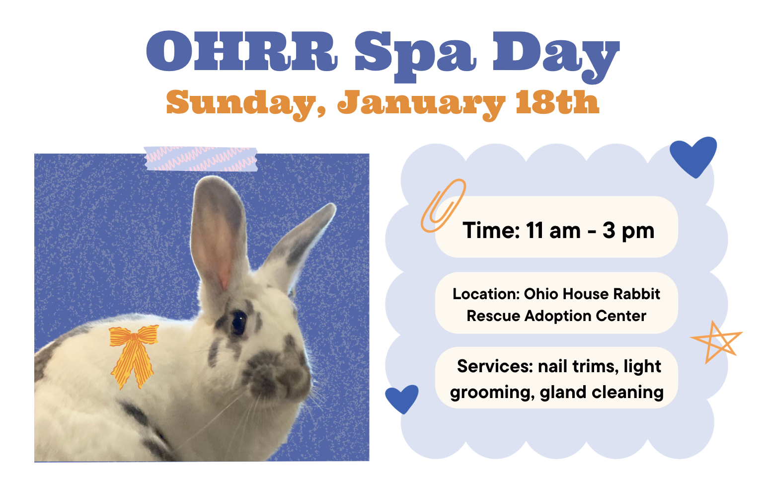 You are currently viewing OHRR Bunny Spa Day is Sunday, January 18th