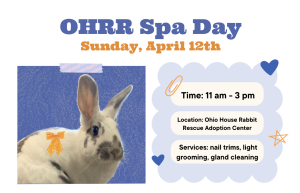Read more about the article OHRR Spa Day – Sunday, April 12th