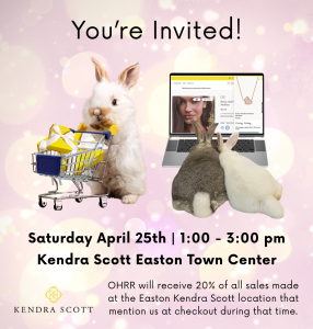 Read more about the article Shop for a Cause at Kendra Scott – Saturday, April 25th | In-Store or Online