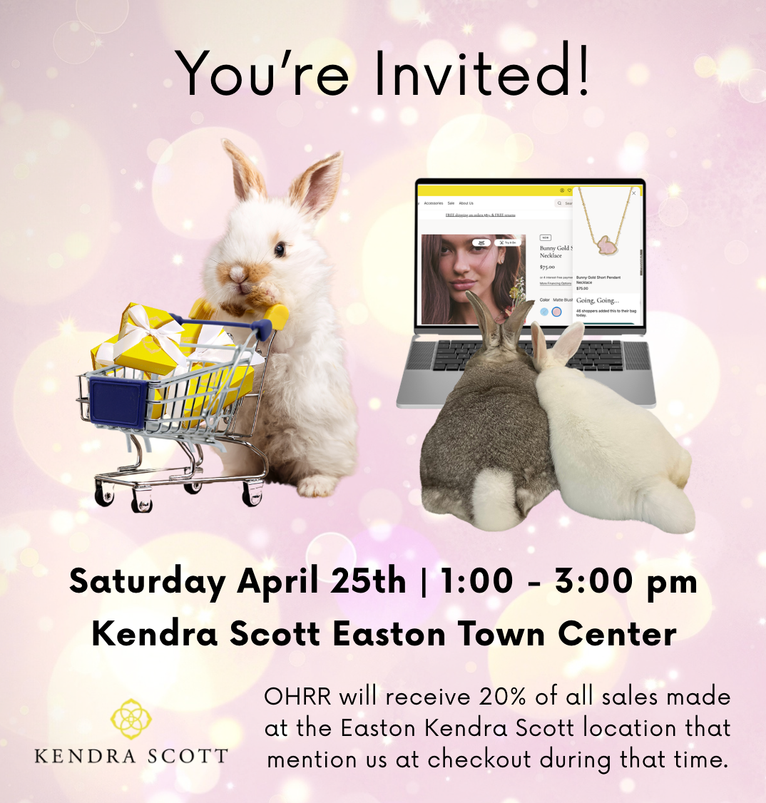 You are currently viewing Shop for a Cause at Kendra Scott – Saturday, April 25th | In-Store or Online